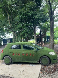 image1.jpeg